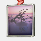 GA Jekyll Island, Boom begraafplaats op strand op Metalen Ornament (Links)