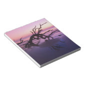 GA Jekyll Island, Boom begraafplaats op strand op Notitieblok (Schuin)