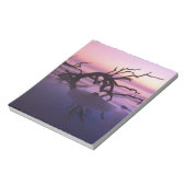 GA Jekyll Island, Boom begraafplaats op strand op Notitieblok (Linkerzijde)