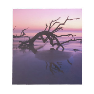 GA Jekyll Island, Boom begraafplaats op strand op Notitieblok