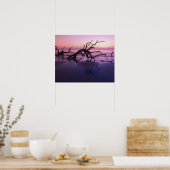 GA Jekyll Island, Boom begraafplaats op strand op Poster (Keuken)