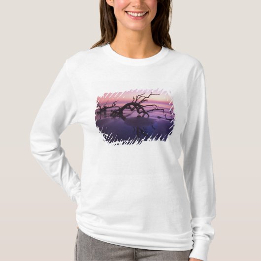 GA Jekyll Island, Boom begraafplaats op strand op T-shirt (Voorkant)