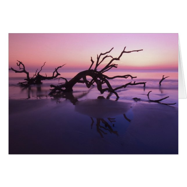 GA Jekyll Island, boomkerkhof op strand bij (Voorkant Horizontaal)