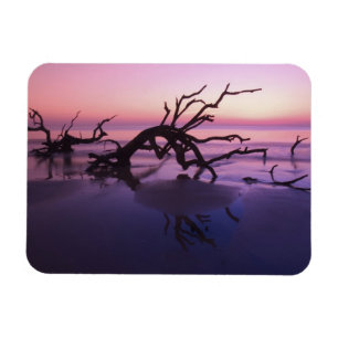 GA Jekyll Island, boomkerkhof op strand bij Magneet