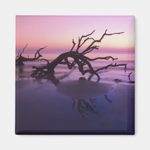 GA Jekyll Island, boomkerkhof op strand bij Magneet