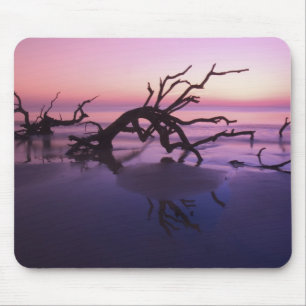 GA Jekyll Island, Boomkerkhof op strand bij Muismat