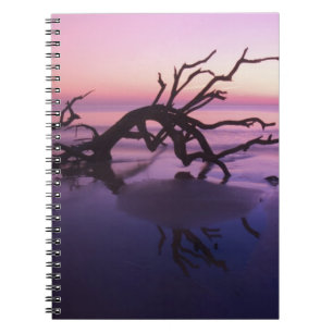 GA Jekyll Island, boomkerkhof op strand bij Notitieboek