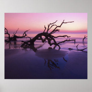 GA Jekyll Island, Boomkerkhof op strand bij Poster