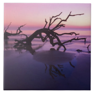 GA Jekyll Island, boomkerkhof op strand bij Tegeltje