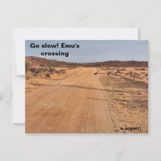 Ga langzaam! briefkaart