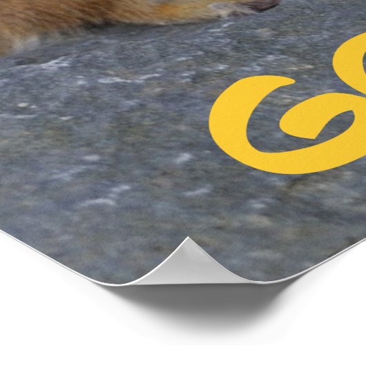 Ga maar naar Nuts. Poster (Hoek)