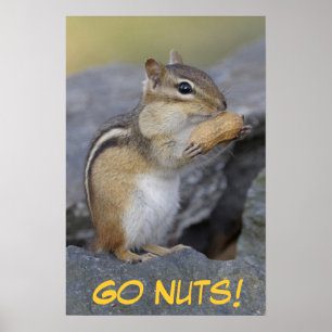 Ga maar naar Nuts. Poster