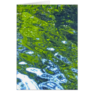 Ga met de stroom mee!