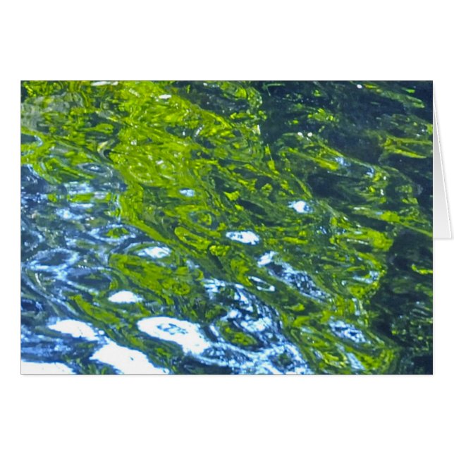 Ga met de stroom mee! (Voorkant Horizontaal)