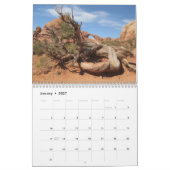 Ga naar het westen! kalender (Jan 2027)