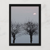 Ga niet Briefkaarten (Voorkant)