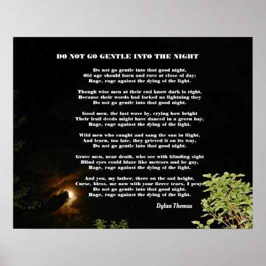 GA NIET GENTLE IN DE NACHT POSTER (Voorkant)