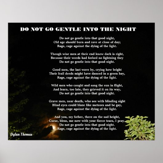 GA NIET GENTLE IN DE NACHT POSTER (Voorkant)
