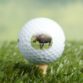 Ga niet met me mee! (ovaal) golfballen (Insitu Shirt)