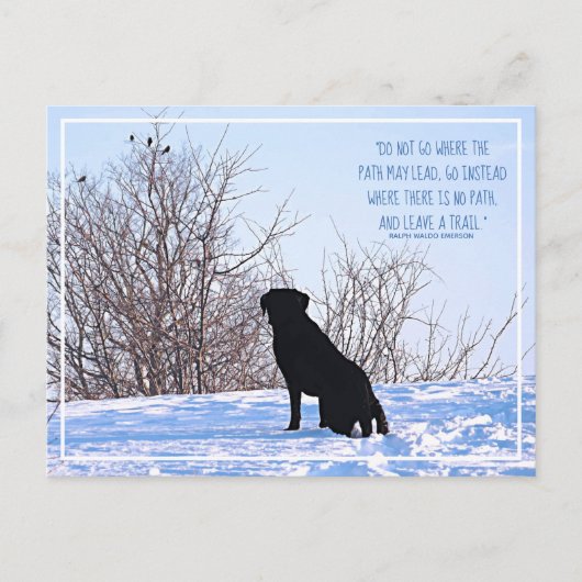 Ga niet waar het pad Emerson Quote kan leiden Briefkaart (Voorkant)