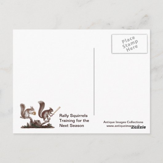 Ga Nuts Rally Squirrel Greetings uit St. Louis! Briefkaart (Achterkant)