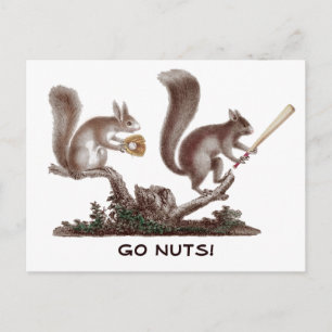 Ga Nuts Rally Squirrel Greetings uit St. Louis! Briefkaart