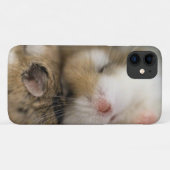 Ga over Bob. Case-Mate iPhone Case (Achterkant (horizontaal))