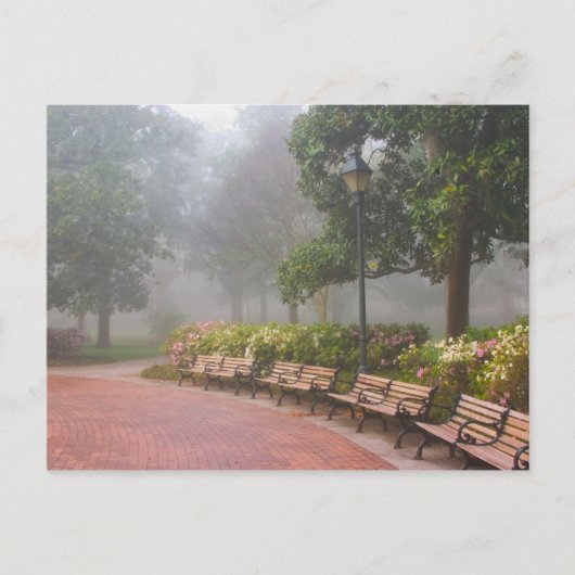 GA Savannah, Azaleas langs baksteenstok en Briefkaart (Voorkant)