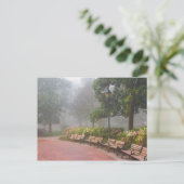 GA Savannah, Azaleas langs baksteenstok en Briefkaart (Staand voorkant)