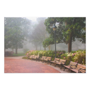 GA Savannah, Azaleas langs baksteenstok en Foto Afdruk