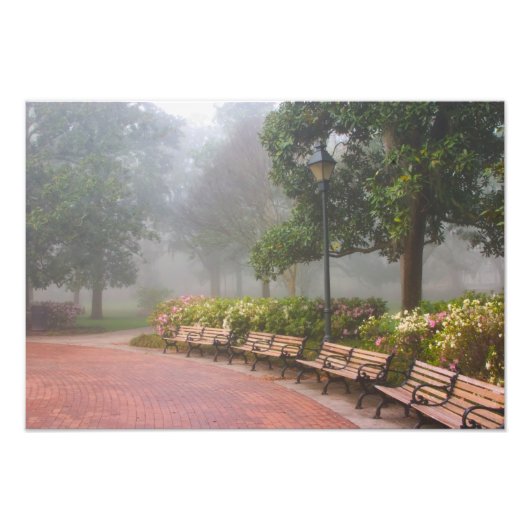 GA Savannah, Azaleas langs baksteenstok en Foto Afdruk (Voorkant)