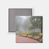 GA Savannah, Azaleas langs baksteenstok en Magneet (Voorkant / Achterkant)