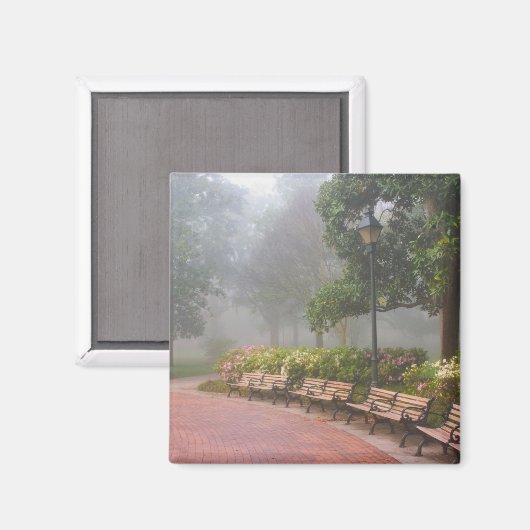 GA Savannah, Azaleas langs baksteenstok en Magneet (Voorkant / Achterkant)