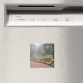 GA Savannah, Azaleas langs baksteenstok en Magneet (Insitu (Vaatwasser))