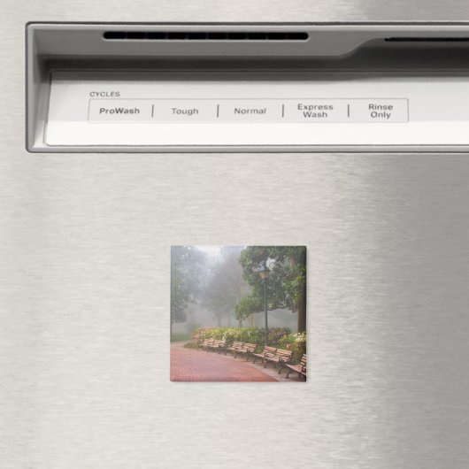 GA Savannah, Azaleas langs baksteenstok en Magneet (Insitu (Vaatwasser))