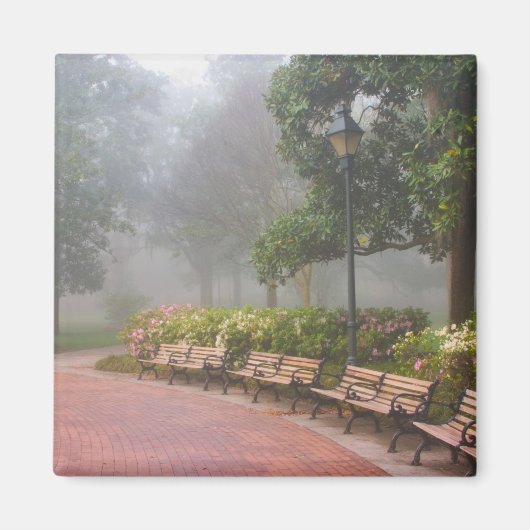 GA Savannah, Azaleas langs baksteenstok en Magneet (Voorkant)