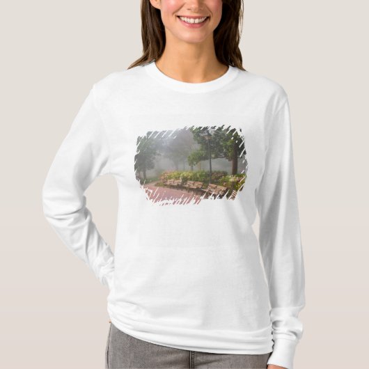 GA Savannah, Azaleas langs baksteenstok en T-shirt (Voorkant)