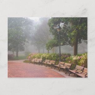 GA Savannah, Azalea's langs bakstenen trottoir en Briefkaart
