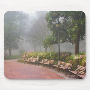 GA Savannah, Azalea's langs bakstenen trottoir en Muismat