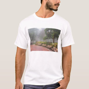 GA Savannah, Azalea's langs bakstenen trottoir en T-shirt