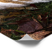 "Ga uit mijn gezicht", humoristisch poster van hon (Hoek)