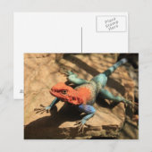 Ga uit mijn weg briefkaart (Voorkant / Achterkant)