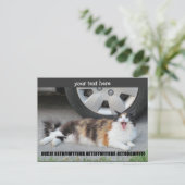 Ga van mijn vier af die Calico afschilderen Briefkaart (Staand voorkant)