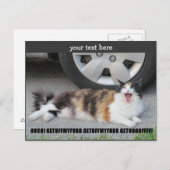 Ga van mijn vier af die Calico afschilderen Briefkaart (Voorkant / Achterkant)