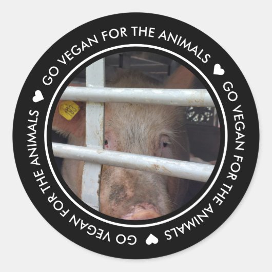 Ga vegan voor de dieren zwarte foto ronde sticker (Voorkant)