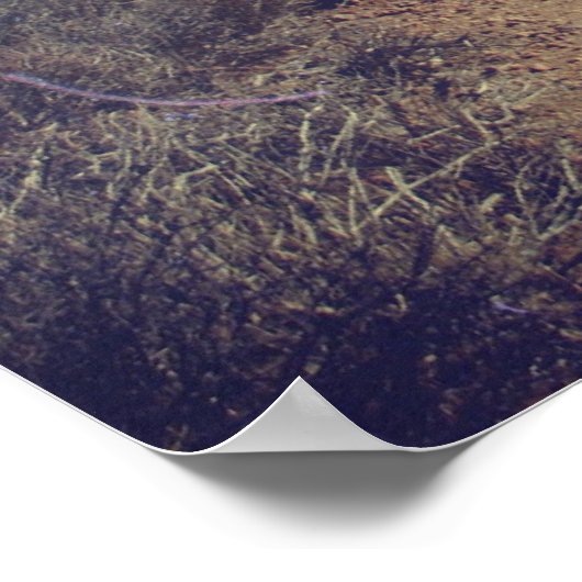 Ga verkennen poster (Hoek)