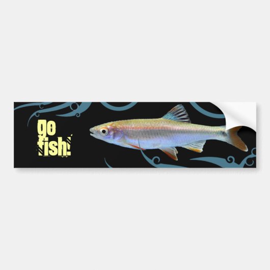 Ga vissen! Shiner Minnow Bumpersticker (Voorkant)