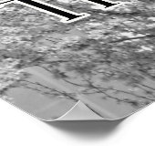 Ga voor en verover Motivatie kat Poster (Hoek)