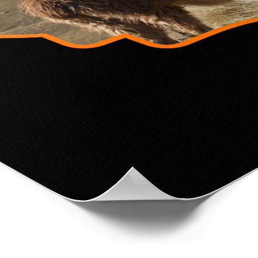 Ga waar je je het meest levendige Llama avonturier Poster (Hoek)