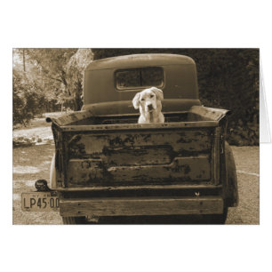 Ga weg uit Dodge - foto van Dog